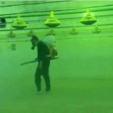 Kako dezinfikovati kokošinjac